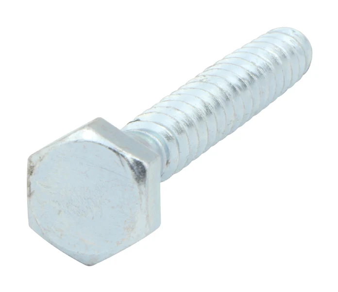 COACH SCREW ZP M6X80 BAG 10