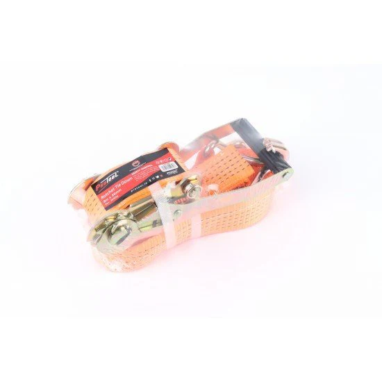 PROTOOL RATCHET TIE DOWN 10M