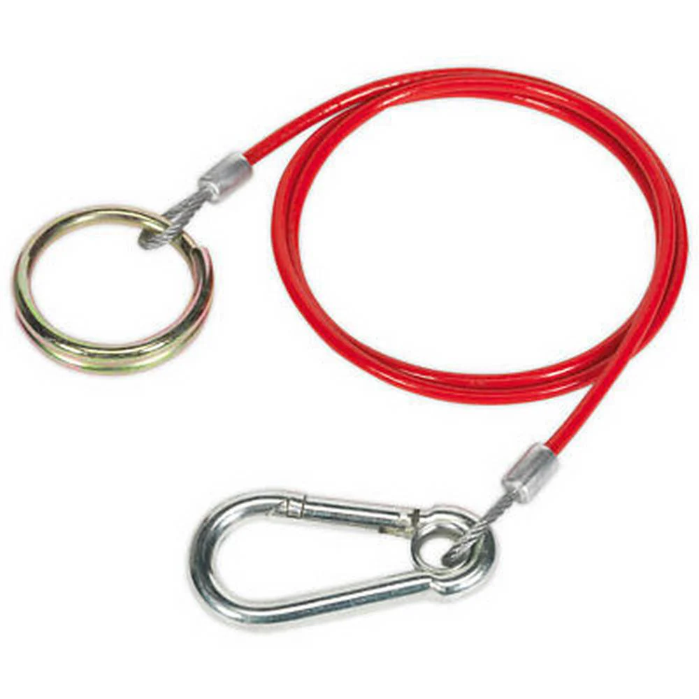 SEALEY 1MTR X 3MM BREAKAWAY CABLE