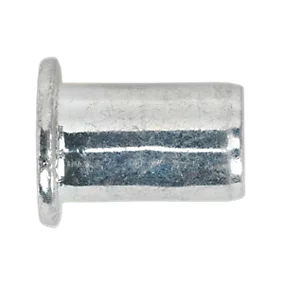 SEALEY THREADED INSERT (RIVET NUT) M6 REGULAR PACK OF 50